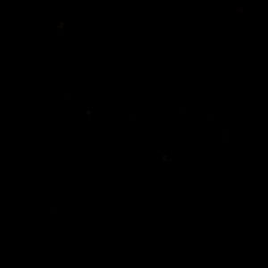 Meet your Posher, Jaylie